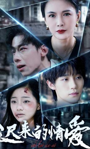 短剧《迟来的情爱》海报