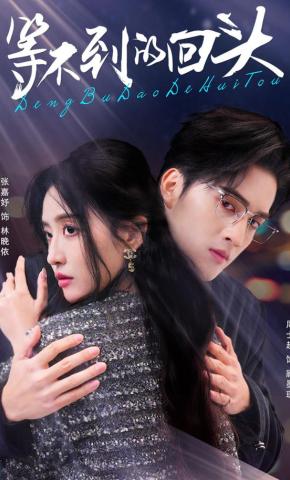 短剧《等不到的回头》海报