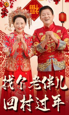 短剧《找个老伴儿回村过年》海报