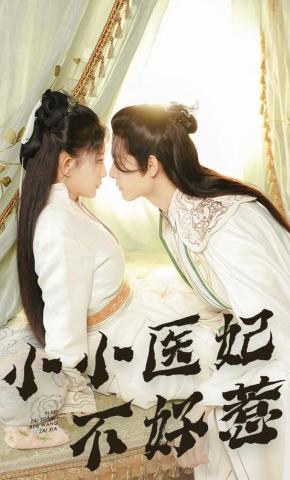 短剧《小小医妃不好惹》海报