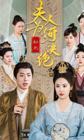 短剧《夫人为何如此决绝》海报