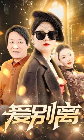 短剧爱别离海报