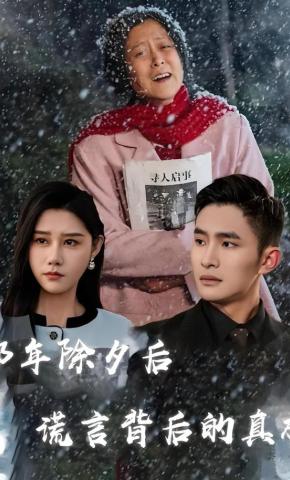 短剧《那年除夕后谎言背后的真相》海报