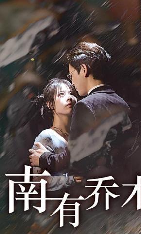短剧南有乔木海报