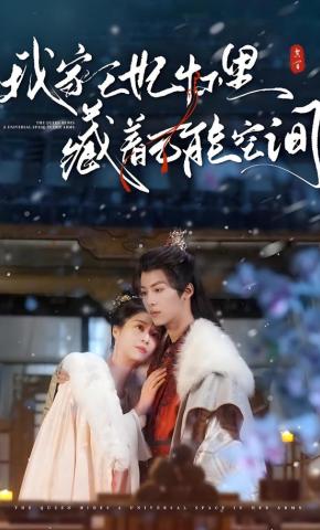 短剧《我家王妃怀里藏着万能空间》海报