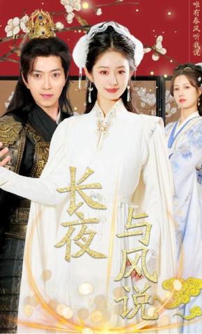 短剧《长夜与风说》海报