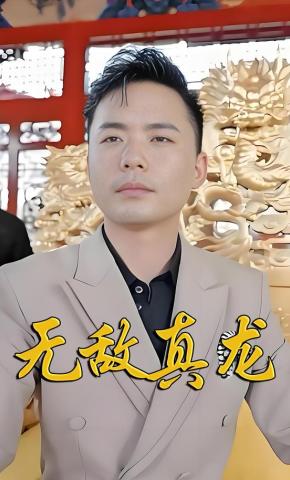 短剧无敌真龙海报