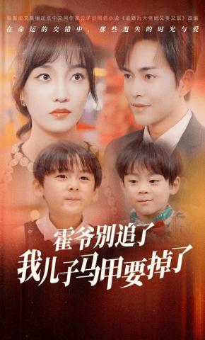 短剧霍爷别追了我儿子马甲要掉了海报