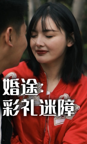 短剧《婚途：彩礼迷障》海报