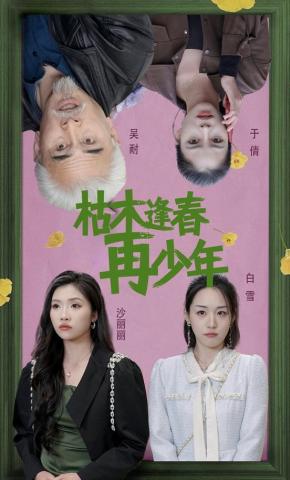 短剧枯木逢春再少年海报