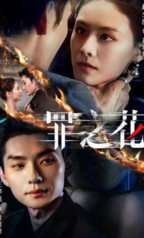 短剧《罪之花》海报