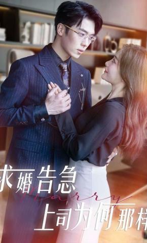 短剧《求婚告急，上司为何那样》海报