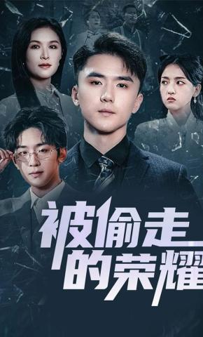 短剧被偷走的荣耀海报