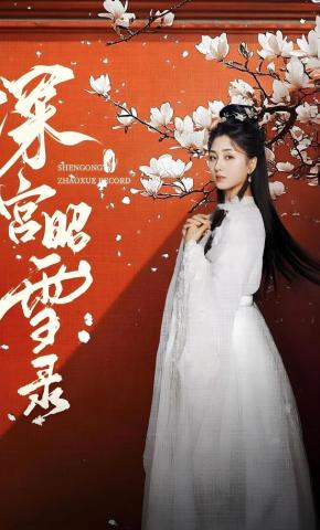 短剧《深宫昭雪录》海报