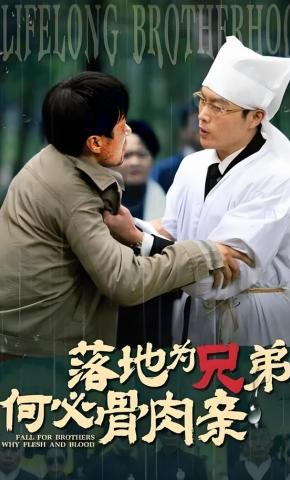 短剧《落地为兄弟何必骨肉亲》海报