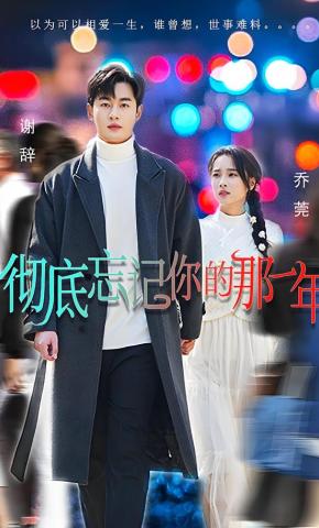 短剧《彻底忘记你的那一年》海报