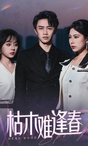 短剧《枯木难逢春》海报