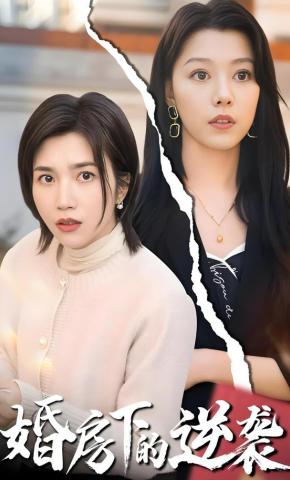 短剧《婚房下的逆袭》海报
