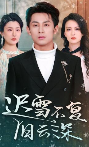 短剧《迟雪不复旧云深》海报