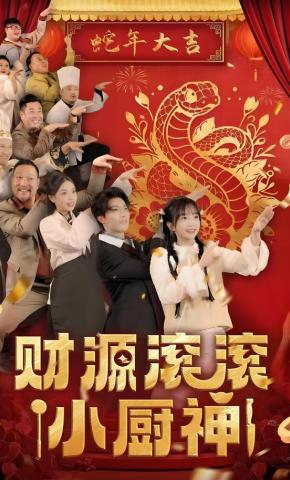 短剧《财源滚滚小厨神》海报