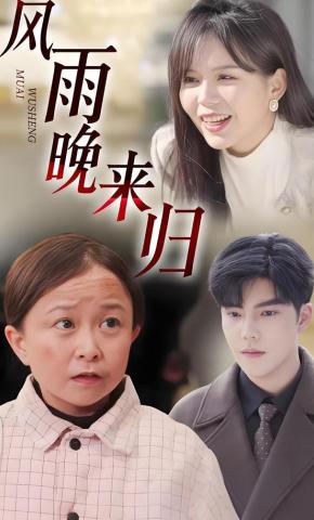 短剧《风雨晚来归》海报