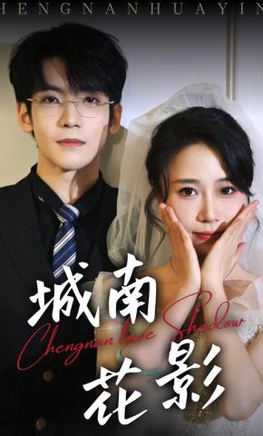 短剧城南花影海报