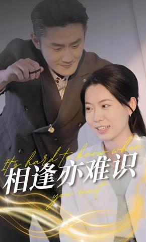 短剧《相逢亦难识》海报