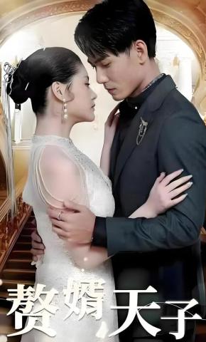 短剧赘婿天子海报