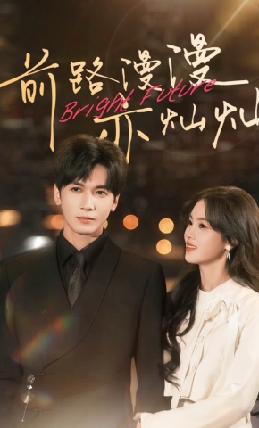 短剧《前路漫漫亦灿灿》海报