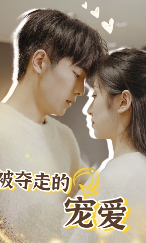 短剧被夺走的宠爱海报
