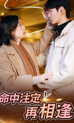 短剧《命中注定再相逢》海报