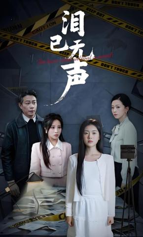 短剧泪已无声海报