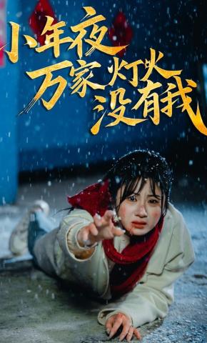 短剧《小年夜万家灯火没有我》海报