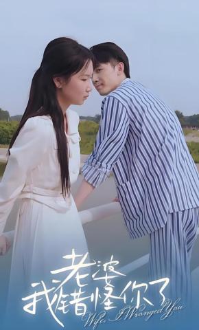 短剧老婆，我错怪你了海报