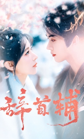 短剧辞首辅海报