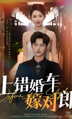 短剧上错婚车嫁对郎海报