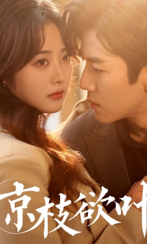 短剧《京枝欲叶》海报