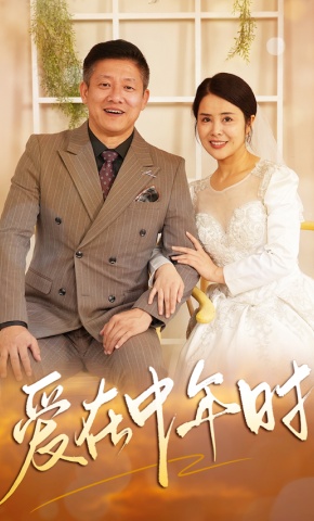 短剧《爱在中年时》海报