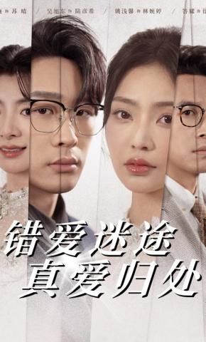 短剧错爱迷途真爱归处海报