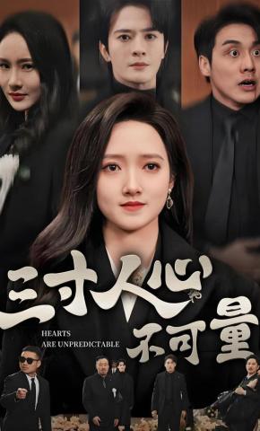 短剧《三寸人心不可量》海报