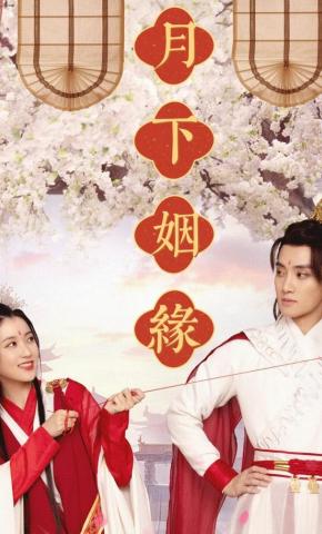 短剧月下姻缘海报