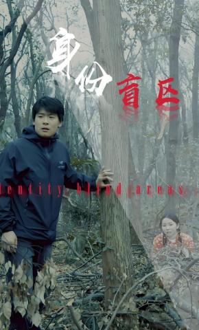 短剧《身份盲区》海报