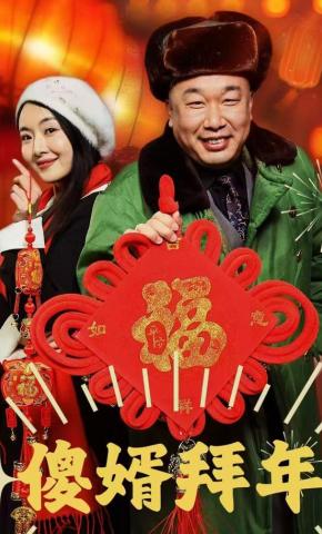 短剧《傻婿拜年》海报