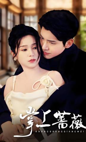 短剧《掌上蔷薇》海报