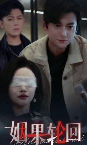 短剧《姻果轮回》海报