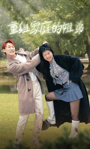 短剧重组家庭的姐弟海报