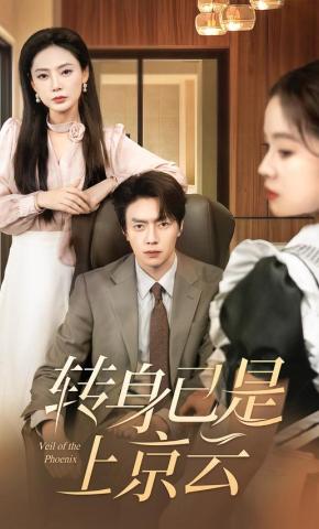 短剧《转身已是上京云》海报