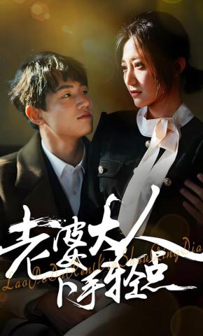 短剧老婆大人下手轻点海报