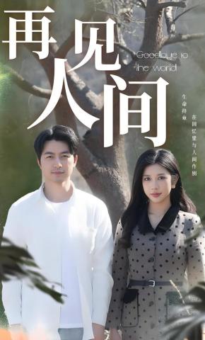 短剧再见人间海报