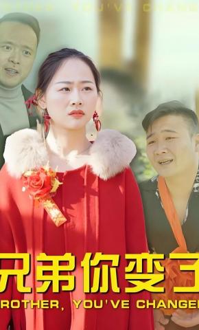 短剧兄弟你变了海报